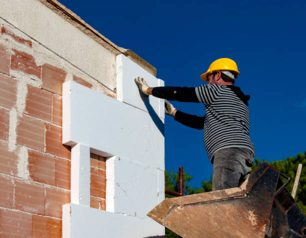Best Attic Insulation Installation  in Frankford, DE
