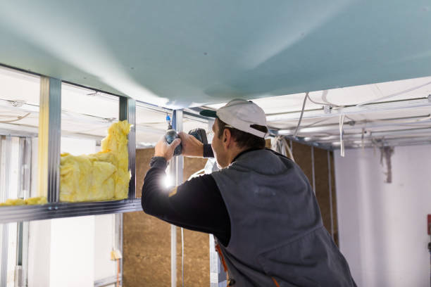 Trusted Frankford, DE Insulation Contractor Experts