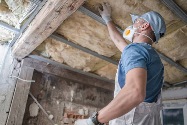 Best Best Insulation Companies  in Frankford, DE