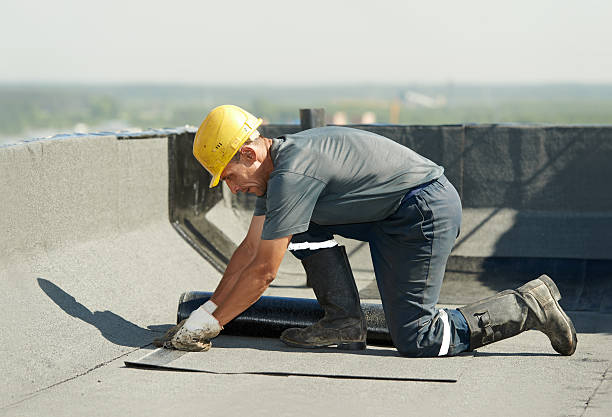Best Insulation Contractors for Homes  in Frankford, DE