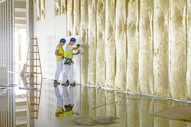 Best Insulation Contractor Near Me  in Frankford, DE